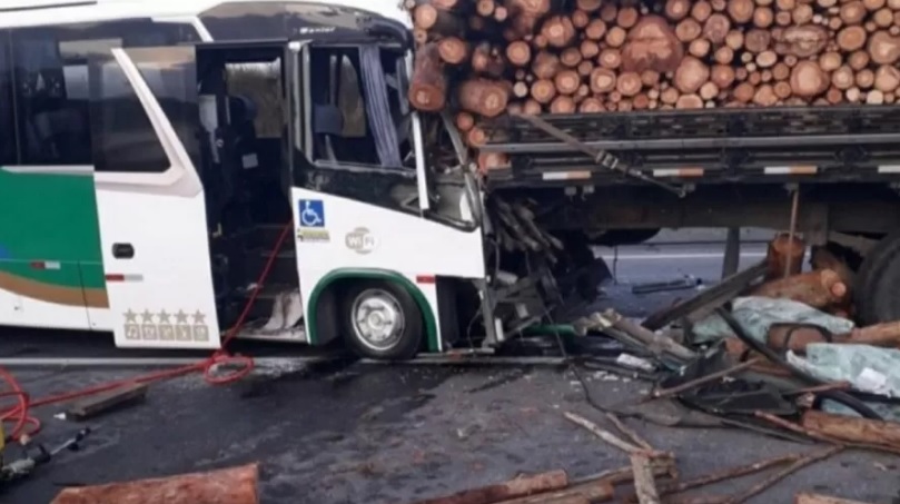 Ônibus bateu na traseira de um caminhão que transportava madeiras/Reprodução