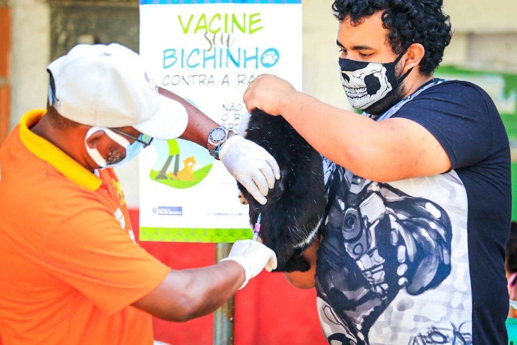 


A meta da Secretaria Municipal de Saúde é vacinar 50 mil animais este ano