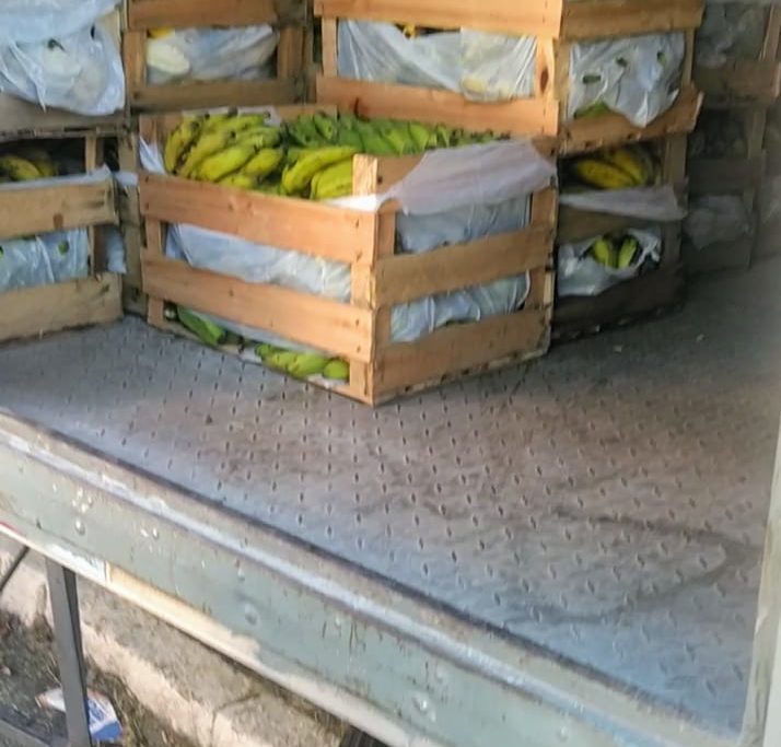 Decisão do prefeito Glauco Kaizer de distribuir bananas verdes para os alunos provoca revolta 