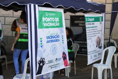A ação na Vila Rosali contabilizou 305 animais vacinados