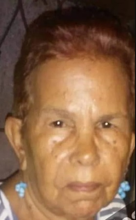 Joselina Serqueira, de 81 anos, foi atacada na Estrada Elizeu Alvarenga/Reprodução